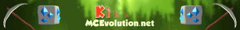 Evolution Network Minecraft server banner