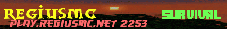 RegiusMC Minecraft server banner