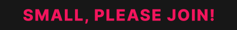 SMP Kingdom Minecraft server banner