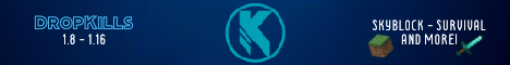 DropKills Network Minecraft server banner