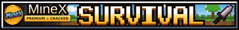 MineX Minecraft server banner