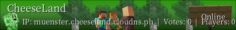 Free minecraft server banner